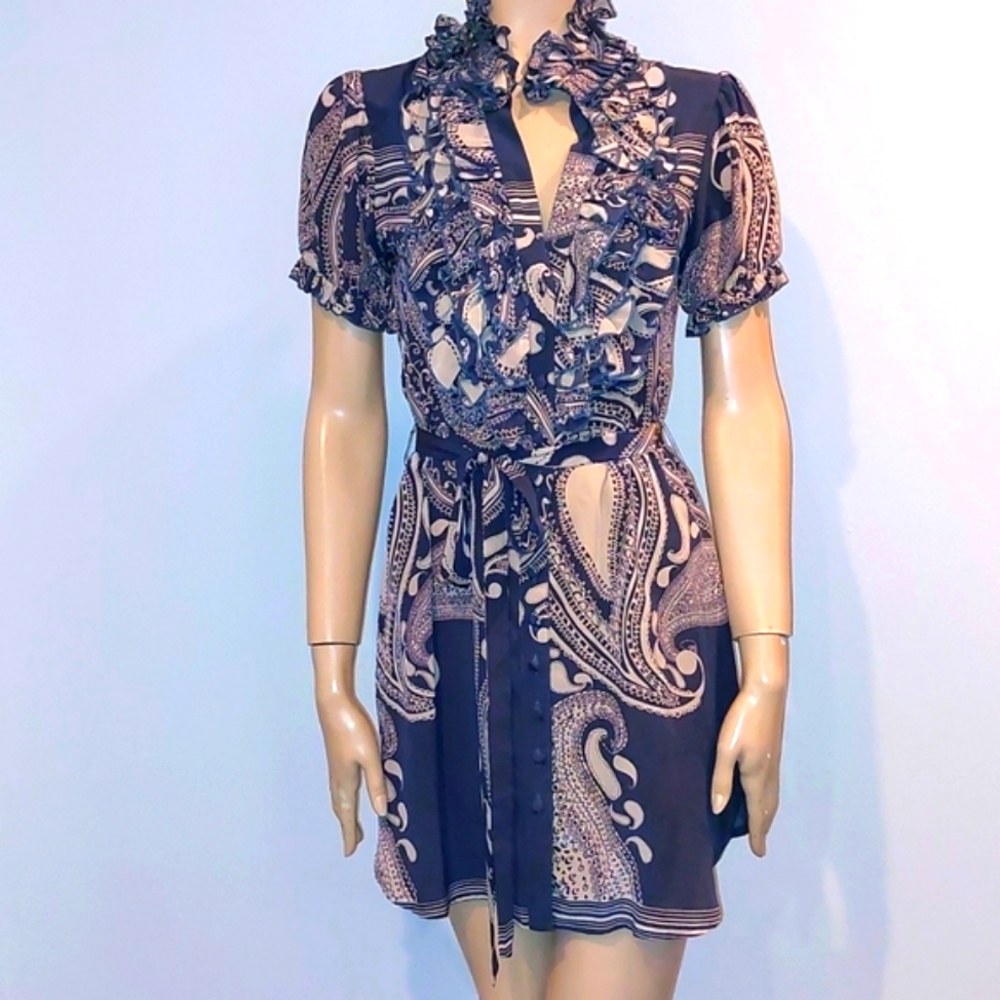Jenny Han bluish gray & cream silk button front mini dress size XS.